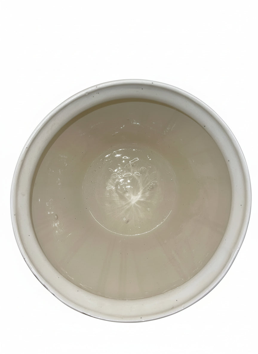 vaso classico